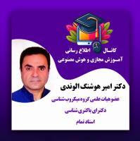 امیر هوشنگ الوندی