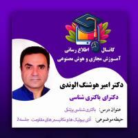 امیر هوشنگ الوندی2