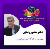 دکتر منصور رضایی